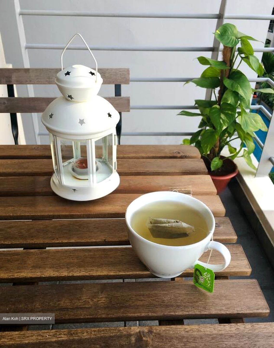 Sims Green (D14), Apartment #528799191